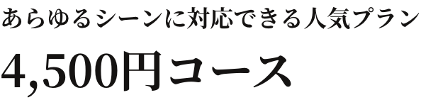 あらゆるシーンに対応できる人気プラン 4,500円コース