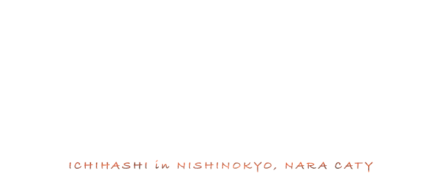 奈良市西ノ京、薬師寺や唐招提寺のそばに佇む「酒楽 市橋」。肩肘張らずシンプルな料理で、日常や旅の箸やすめ。ICHIHASHI in ISHINOKYO,NARA CITY