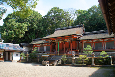 写真：薬師寺 休ヶ岡八幡宮